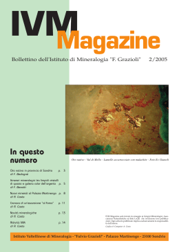 IVM Magazine 2005-02 - Istitito Valtellinese di Mineralogia