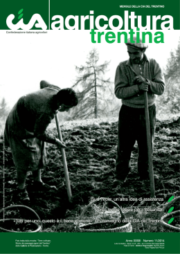 n&deg;11, novembre 2014