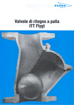 Valvole di ritegno a palla