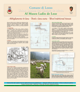 Abbigliamento di lana - Lozzo di Cadore Dolomiti