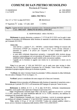 COMUNE DI SAN PIETRO MUSSOLINO