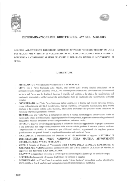 di Lama dei Peligni. Determina a contrarre ai sensi dell