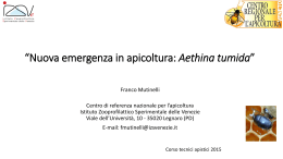 Aethina tumida - Istituto Zooprofilattico Sperimentale delle Venezie