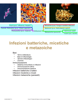 Infezioni batteriche MmP 7.3