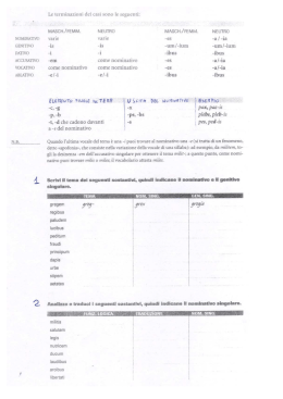 esercitazione terza declinazione