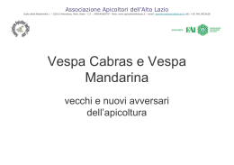 Vespa Cabras e Vespa Mandarina