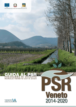 GUIDA AL PSR - Portale PIAVe