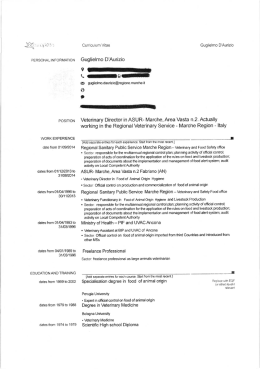 Curriculum vitae
