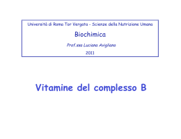 Vitamine del complesso B