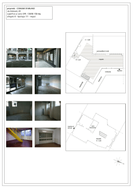 Planimetria Astesani 43