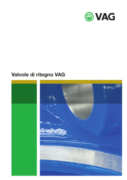 Valvole di ritegno VAG