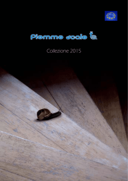 Scarica PDF - Piemmescale