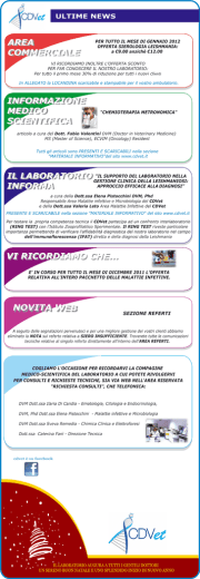 Scarica il documento in formato PDF