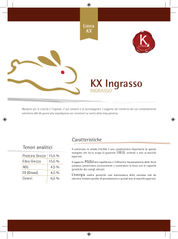 KX Ingrasso - Raggio di Sole