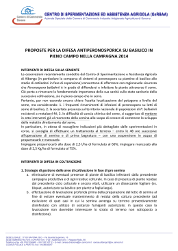 proposte per la difesa antiperonosporica su basilico in