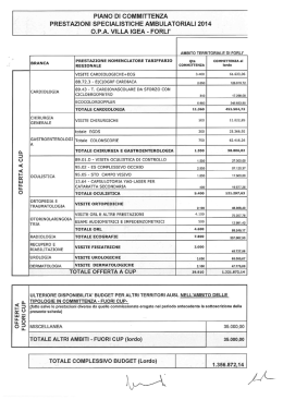 piano committenza specialistica ambulatoriale con villa igea