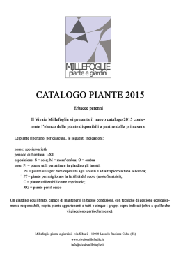 Untitled - Vivaio Millefoglie