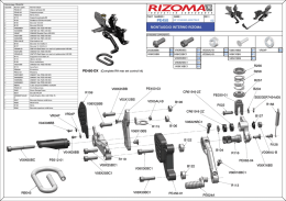 PE450-DX (Complete RH rear set control kit)
