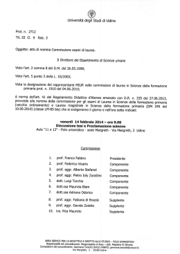 Universit&agrave; degli Studi di Udine