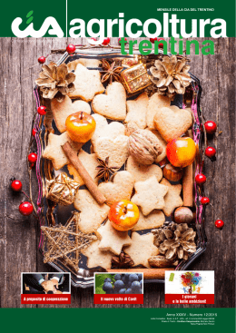 n&deg;12, dicembre 2015