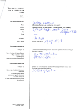 Curriculum vitae