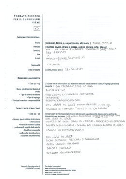Curriculum vitae Mario Fiore