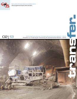 Transfer Heft 2/2013