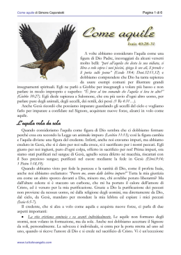 L`aquila vola da sola