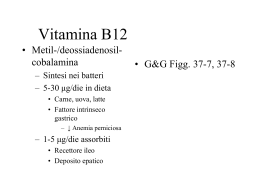 Vitamina B12 - Dipartimento di Farmacia