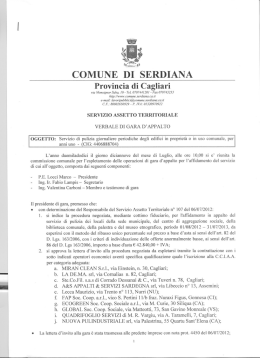 Verbale di gara n&deg;1 - Comune di Serdiana