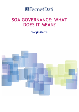 SOA GOVERNANCE: WHAT DOES IT MEAN?