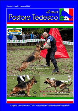 Num. 2 - Associazione Italiana Pastore Tedesco