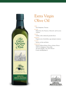 Extra Virgin Olive Oil - AGRITURISMO FATTORIA ABBAZIA MONTE