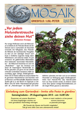 Mosaik - Stiftung Griesfeld