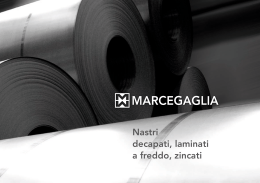 Marcegaglia Steel