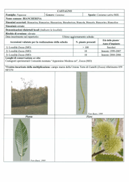 Biancherina - Agricoltura e pesca