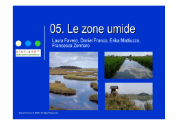 Zone umide - Franco, Daniel