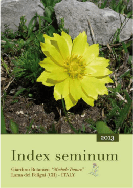 Index Seminum2013_lama_web_docx