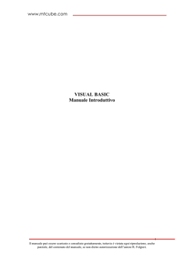 VISUAL BASIC Manuale Introduttivo