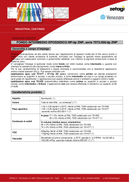 FONDO INTERMEDIO EPOSSIDICO NP/dp ZNP, serie 7073.000/dp