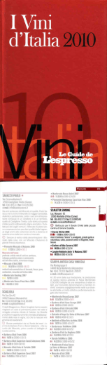I Vmi `Italia 2010
