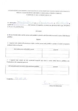 Assessore - Zanini Francesco