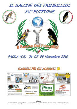 Visualizza classifica