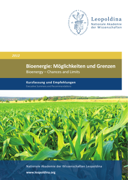 Bioenergie: M&ouml;glichkeiten und Grenzen