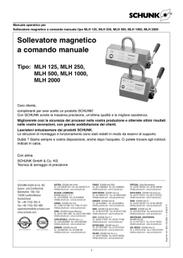 Sollevatore magnetico a comando manuale Tipo: MLH 125