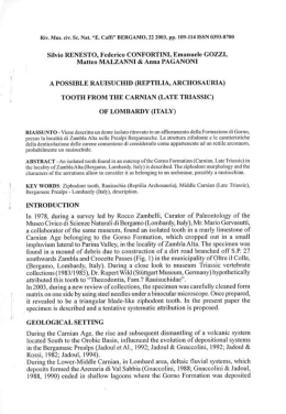 Page 1 Silvio RENESTÜ, Federico ÉUNFÜRTINI. Emanuele GÜIZI