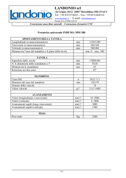 fresatrice universale induma mm 300
