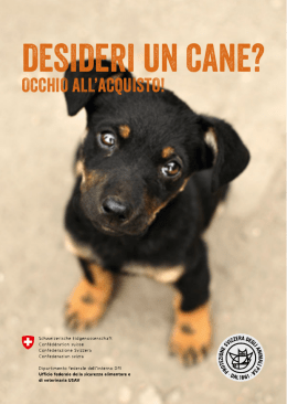 Desideri un cane? Occhio all`acquisto!