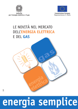 le novit&agrave; nel mercato dell`energia elettrica e del gas