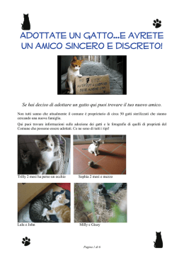 Opuscolo con foto - Comune di Castiglione delle Stiviere